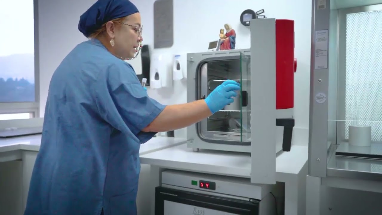 ¿Cómo es el proceso de la INSEMINACIÓN ARTIFICIAL?