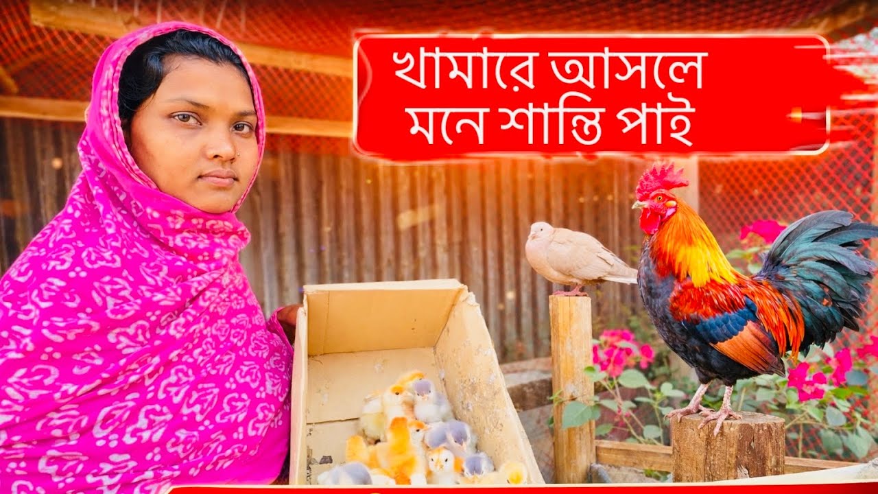 খামারে আসলে মন ভালো হয়ে যায় |Bd life 