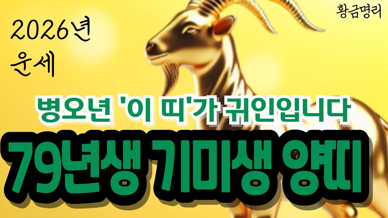 79년생 양띠 기미생 병오년 운세 필수시청 🎆돈이 따라붙고 문서운이 하늘에서 쏟아지는 '이 띠' 만나야 대박😀1979년생 운세 신년운세 79년생양띠운세 2026년 운세