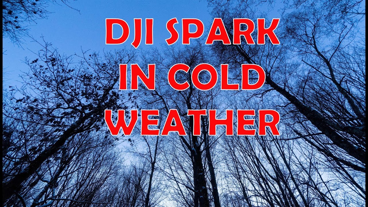 DJI Spark in Cold Weather - Vlog #034[4k]