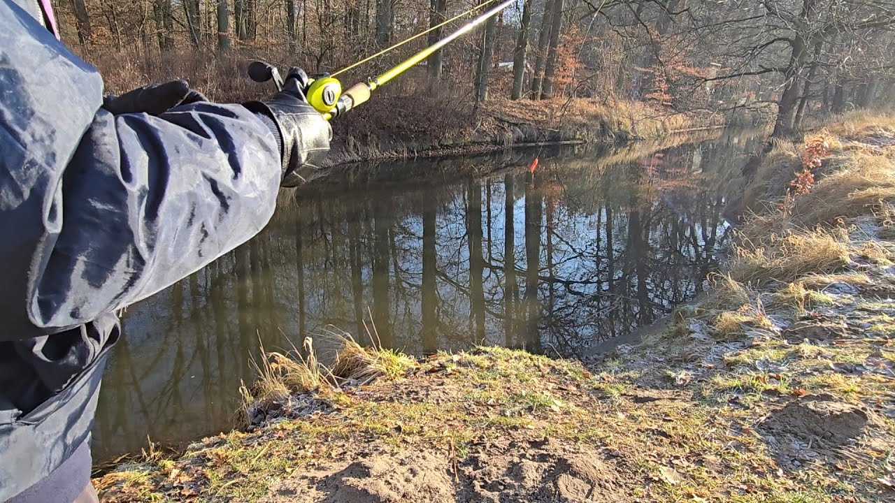 Graben angeln auf Friedfisch und Barsch ein kurzer Versuch #fishing #fishingvideo #baitcaster 