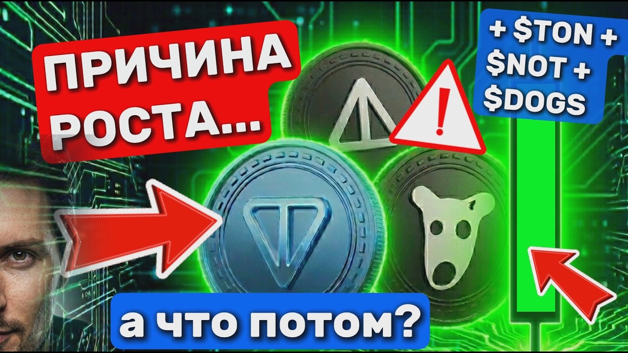 NOTCOIN TON DOGS: СЕКРЕТ РОСТА РАСКРЫТ!