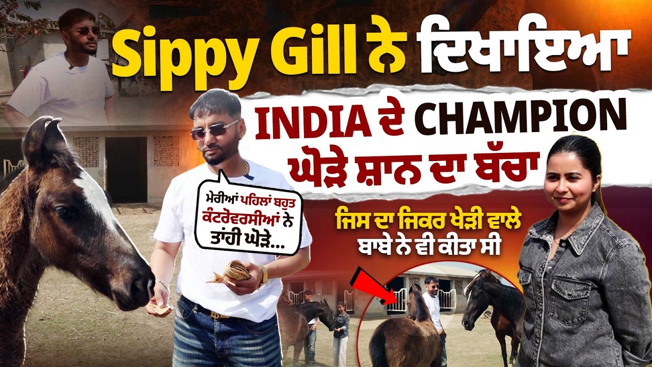Sippy Gill (Exlusive Interview) India Champion Horse Shaan Son Eshaan | Kheri Wala Baba | Horse Care