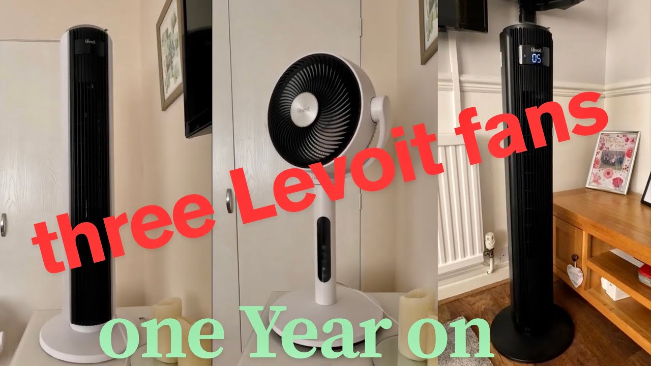 Levoit fans one year later.