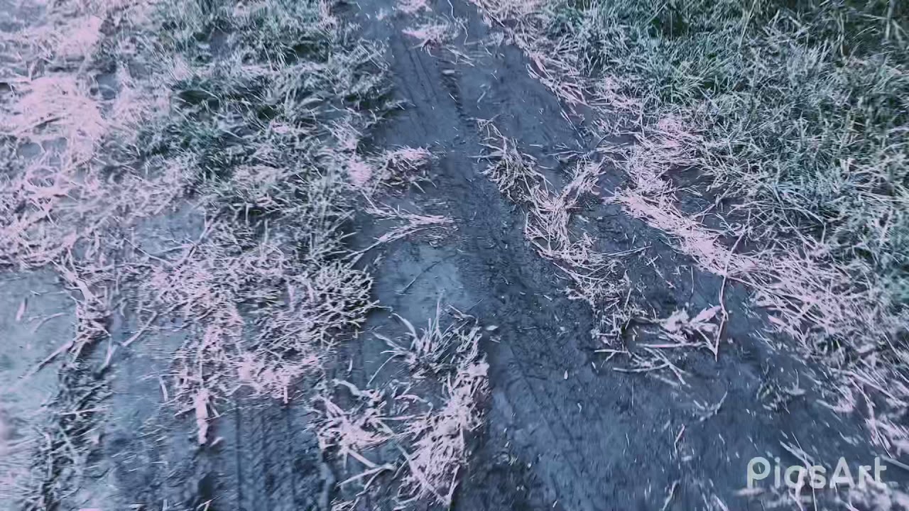 The effects of heavy rain on agriculture