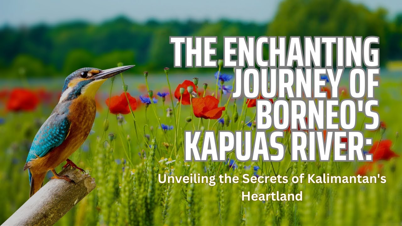 The Enchanting Journey of Kapuas River: Unveiling the Secrets of Kalimantan's Heartland