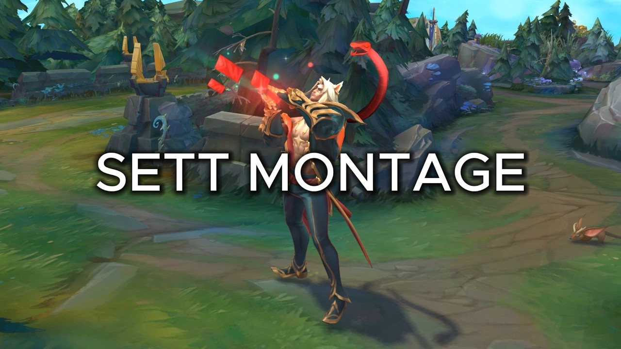 what a Brazilian OTP Sett looks like