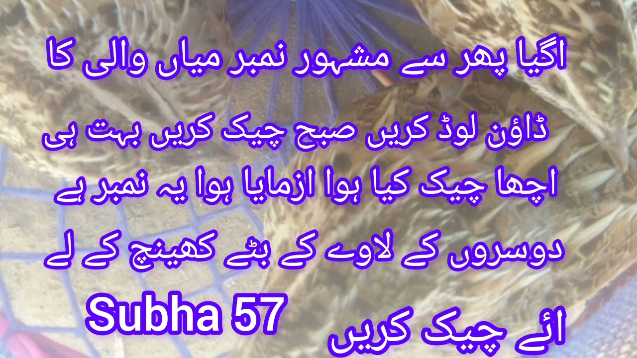 Subha 57 number volume