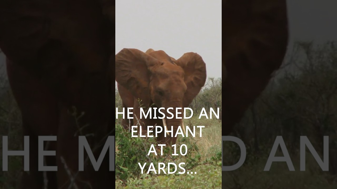 Angry Elephant Charges Hunter At Point Blank Range in Zimbabwe!