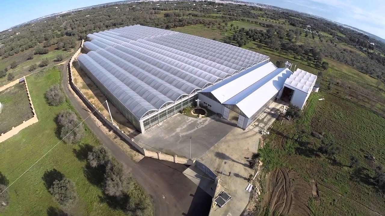 Crisantemisalento.it - Taviano (LE) - Città dei fiori