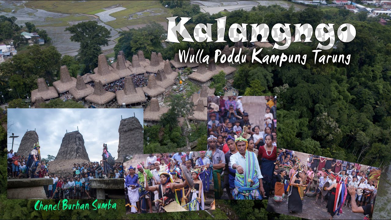 Wulla Poddo kampung tarung 2021 #budayasumba #poddu