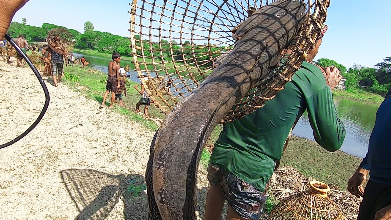 Amazing Big Fish Hunting | Real Big Fishing | Best Polo Fishing.