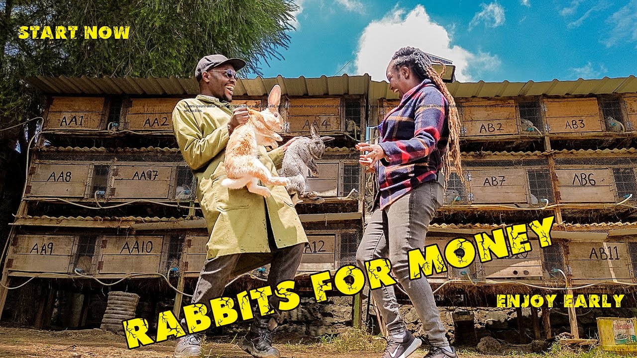 RABBITS FOR MONEY| SMALL SPACE  WITH GREAT RETURNS | FARM TOUR| URBAN FARMING