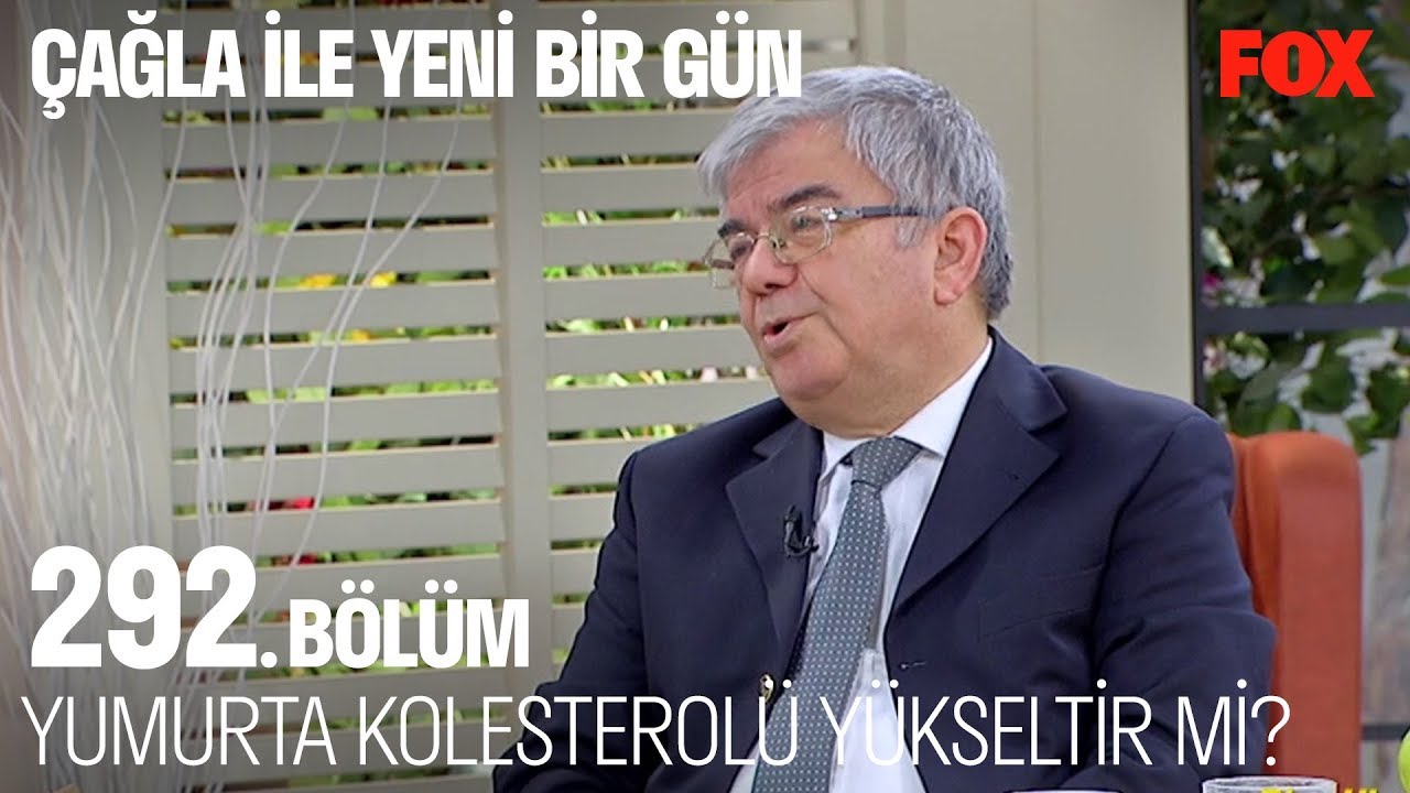 Yumurta kolesterolü yükseltir mi? Çağla ile Yeni Bir Gün 292. Bölüm