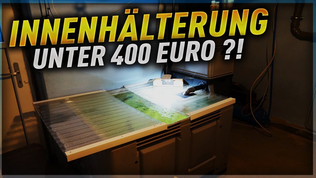 Koi HÄLTERUNG selber bauen! Unter 400 EUR?!