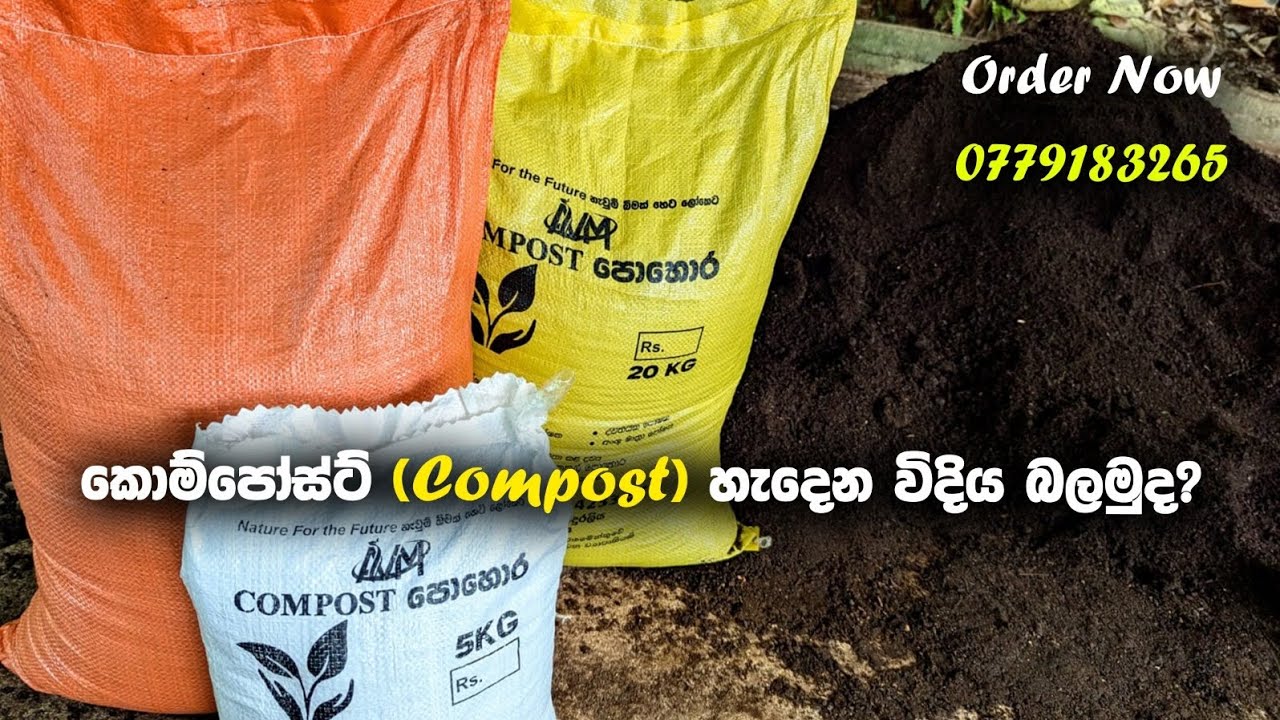 කොම්පෝස්ට් (Compost) හැදෙන විදිය බලමුද?
