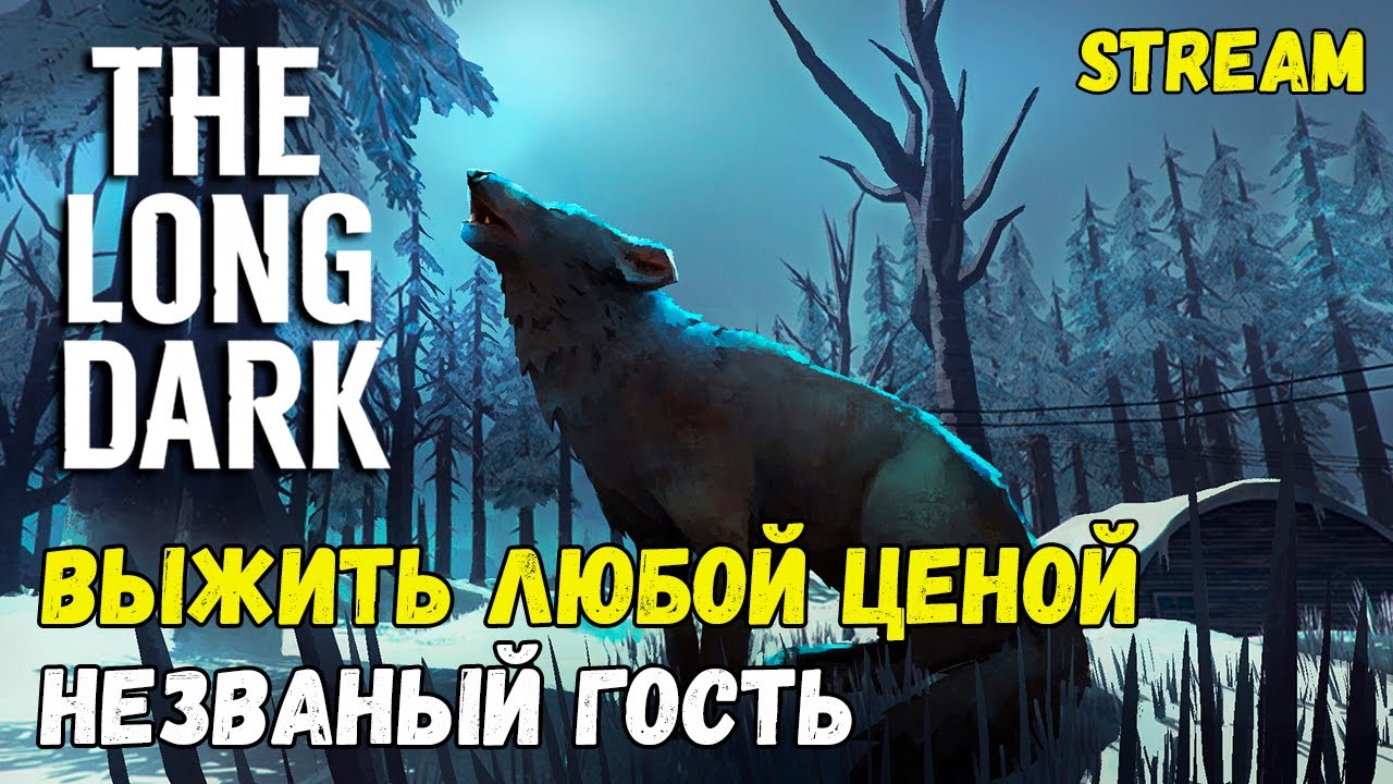 ВЫЖИТЬ ЛЮБОЙ ЦЕНОЙ ► THE LONG DARK ► СЛОЖНОСТЬ: НЕЗВАНЫЙ ГОСТЬ