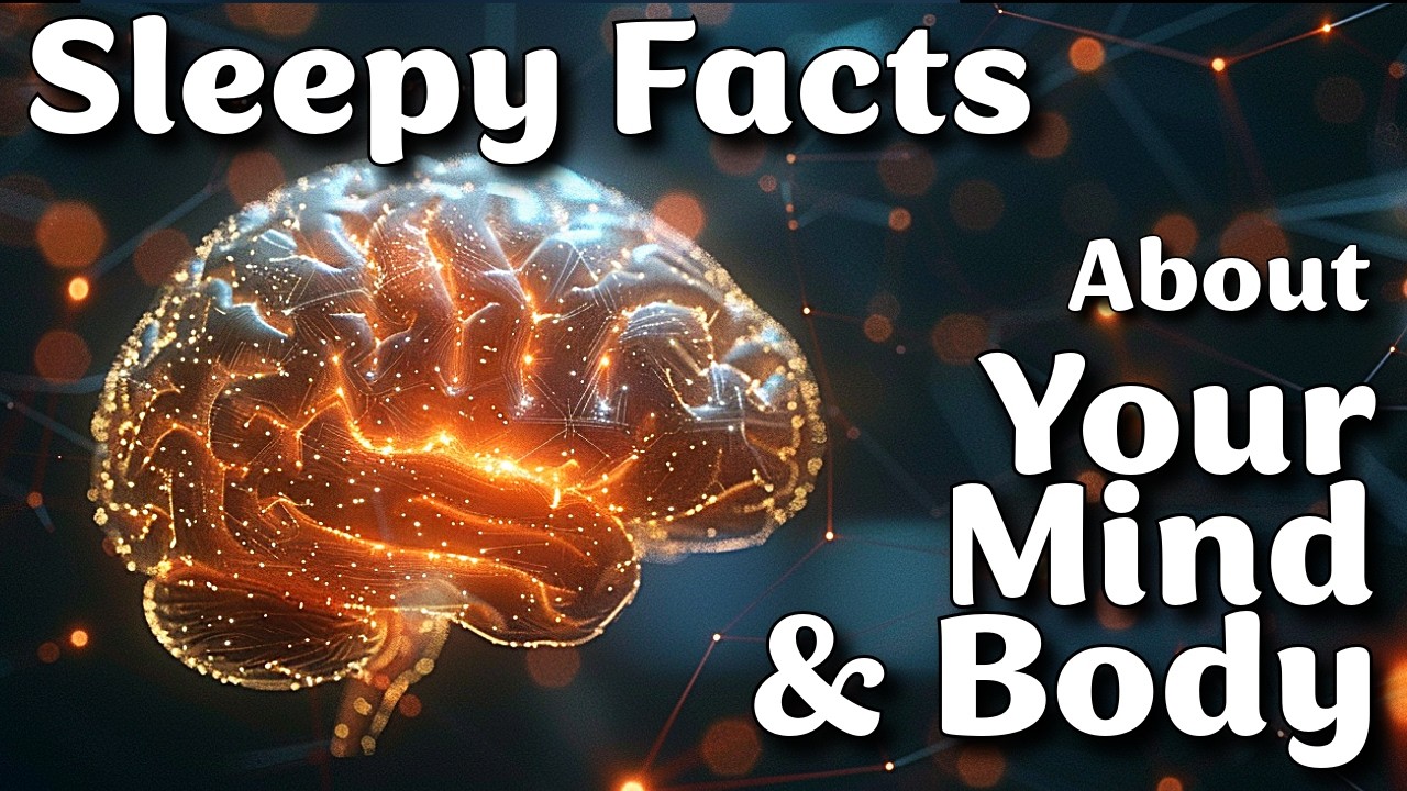 The Most Relaxing Facts About Mind & Body To Fall to Asleep To