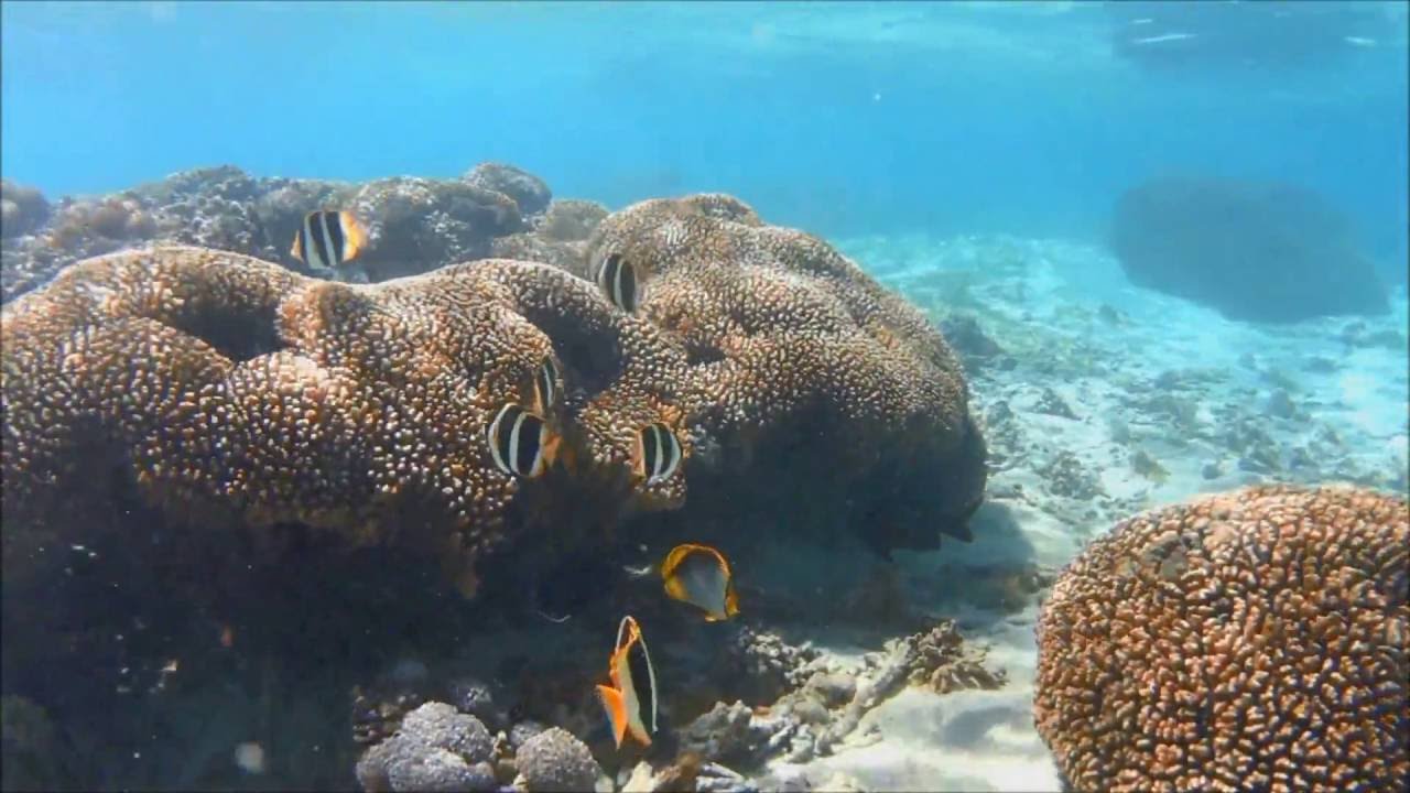 Lord Howe Island Holiday - Sony Action Cam HDR-AS50