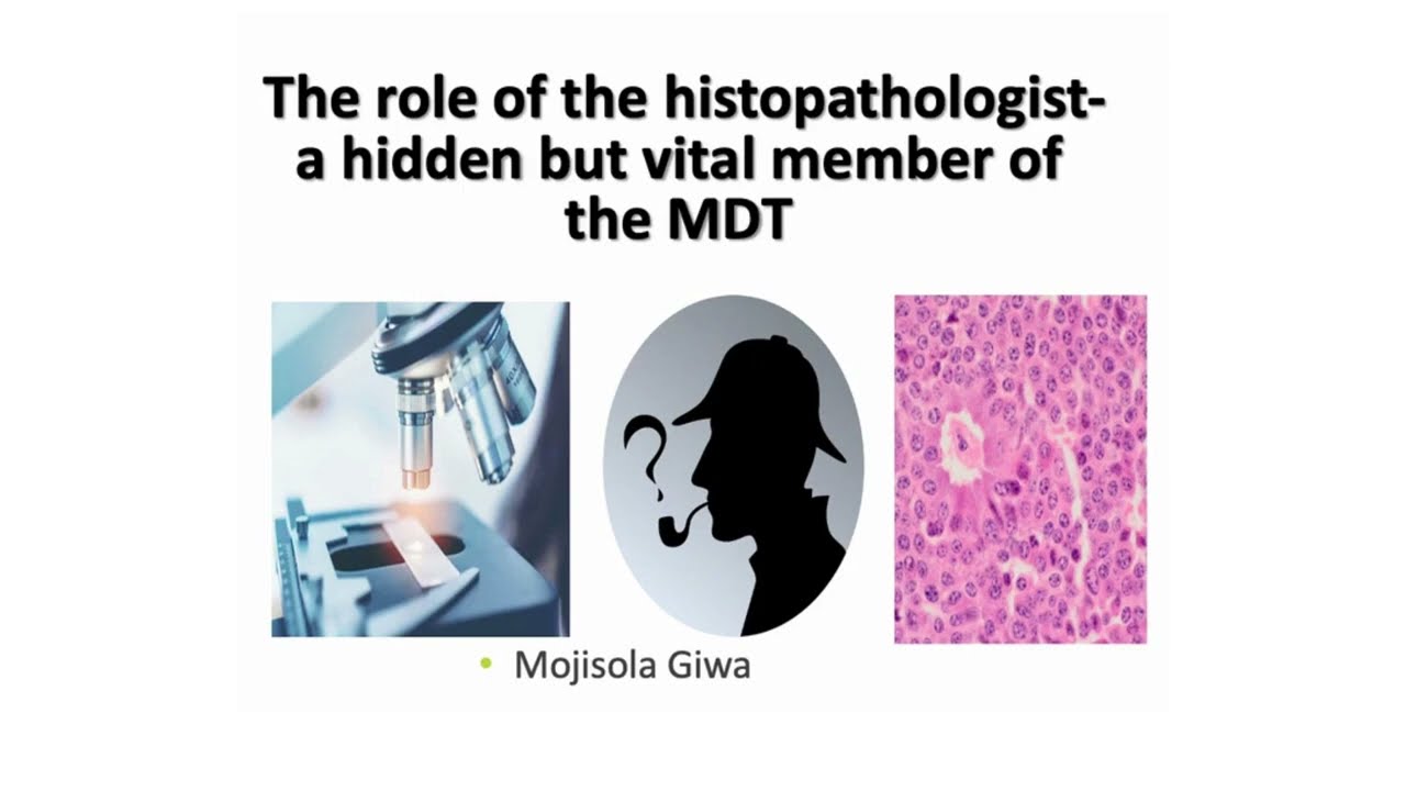 The Role of a Histopathologist