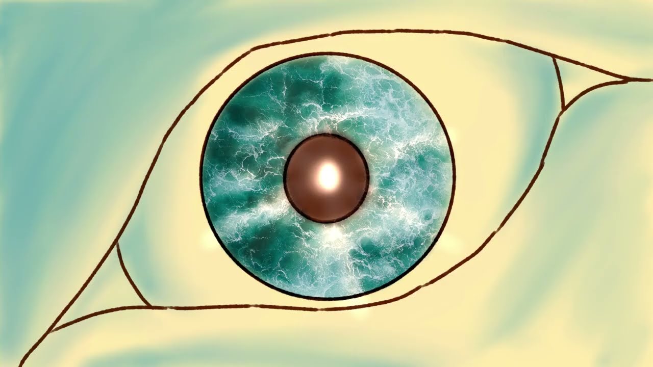 Summertime Clothes - Animal Collective - Music Video (animatic?)