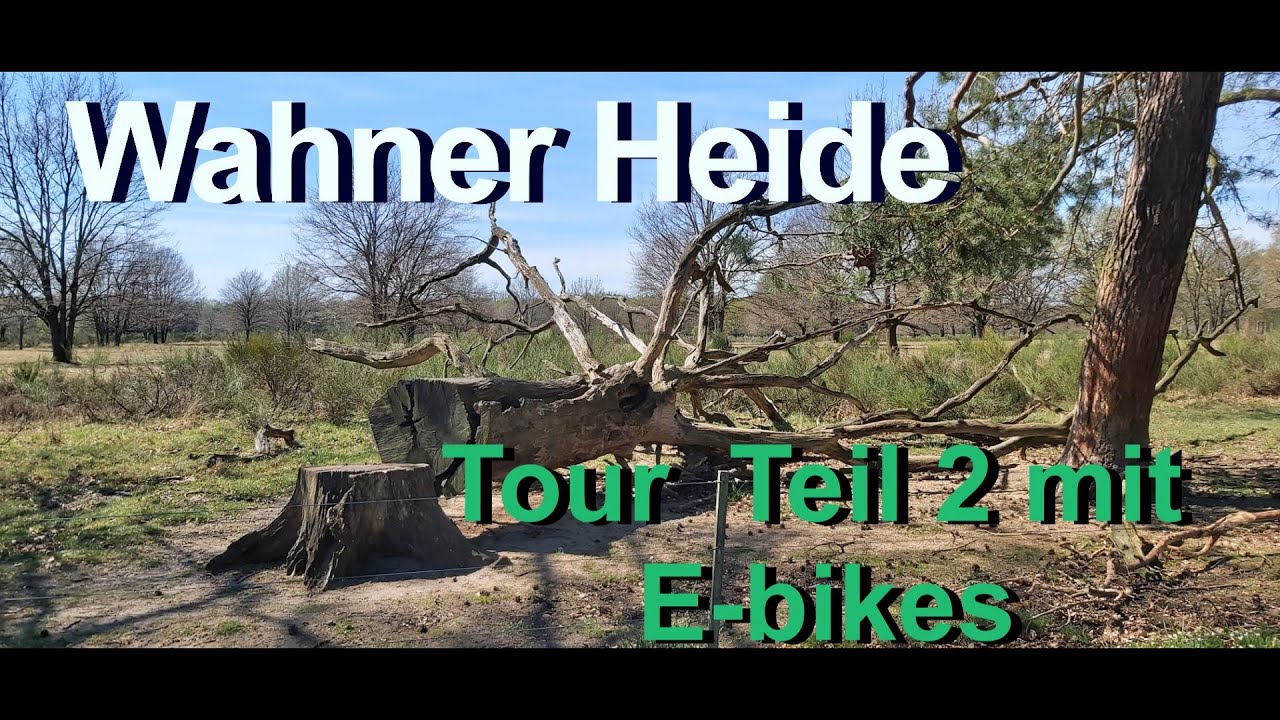 Wahner Heide ganz vertr&auml;umt