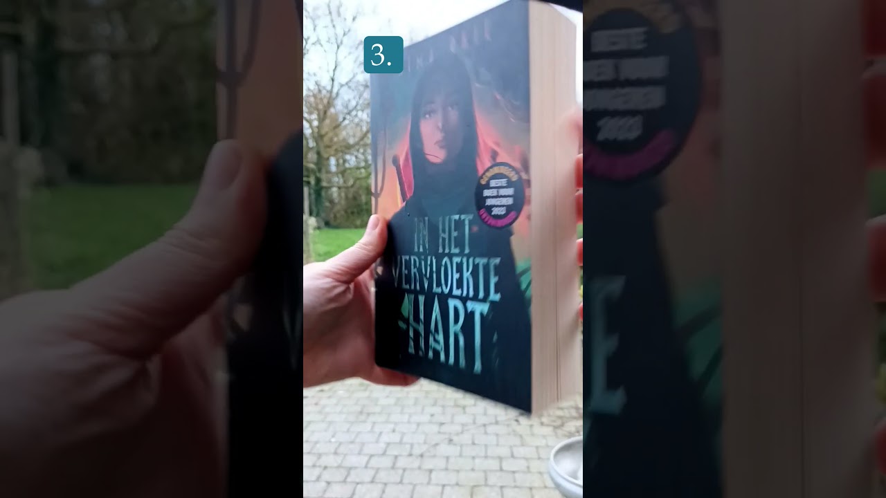 Nederlandstalige leestips voor young adults