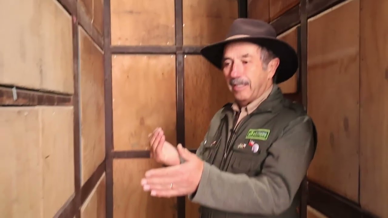 HISTORIAS DE BIOPARQUE  -  TE PRESENTAMOS EL HOGAR DE LAS JIRAFAS