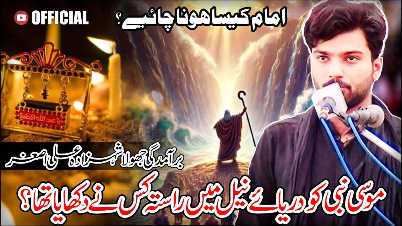 Allama Syed Najaf Abbas Kazmi | Imam Kesa Hona Chahye? | Konsa Imam Haq par Hai? | Hazrat Mosa Waqea