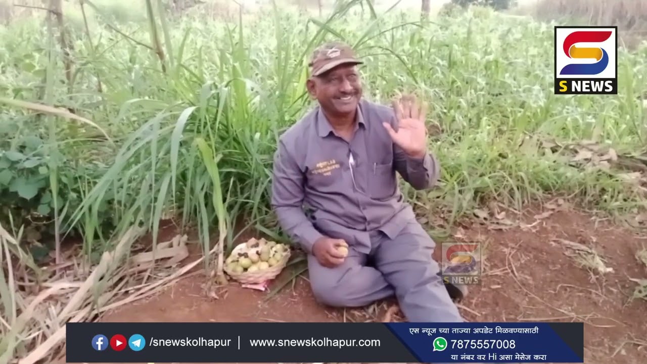 भानामतीतील लिंबूचा सरबत करून पिलं!