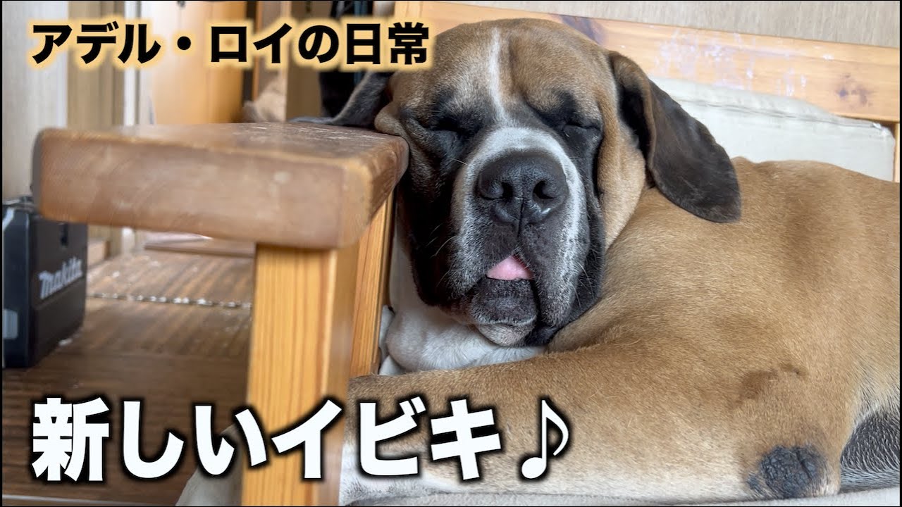 いびき♪New version