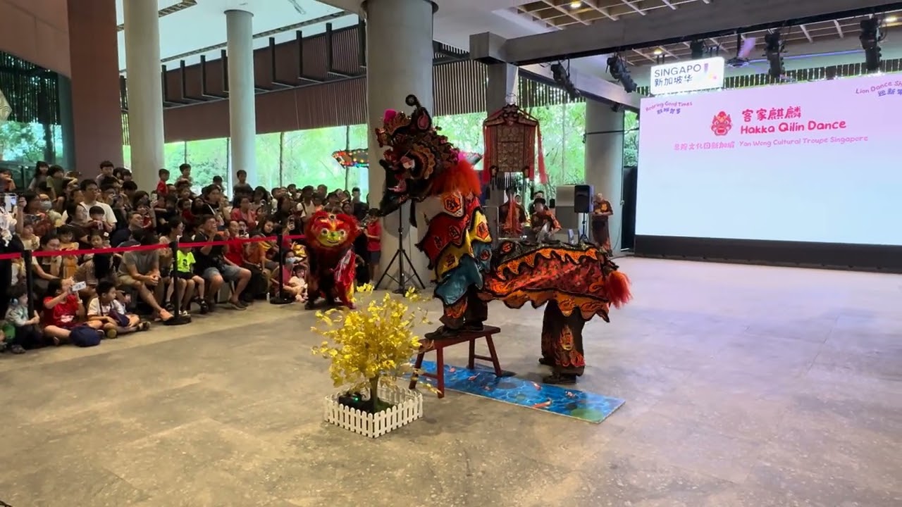 恩隍文化團 Yan Wong Qilin & Fuguizi Performance at SCCC 31 January 2026