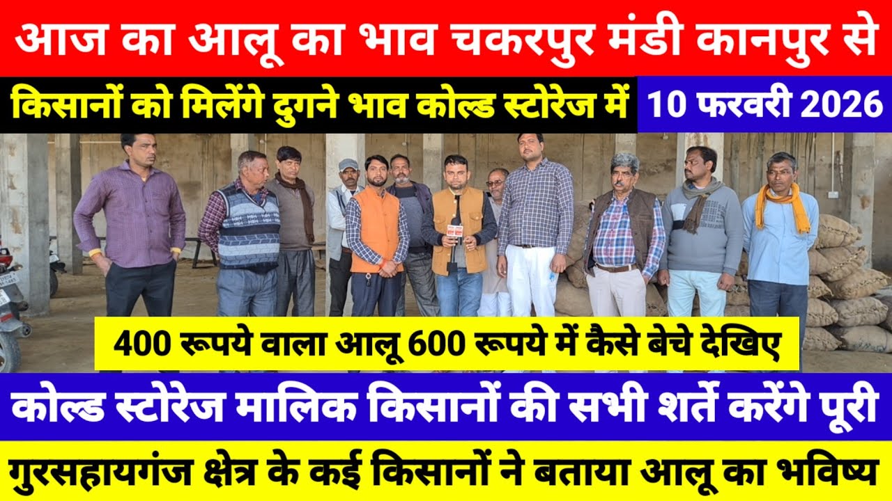 10 फरवरी 2026 / आज का आलू का भाव चकरपुर मंडी कानपुर से किसानों को मिलेंग दुगने भाव कोल्ड स्टोरेज में