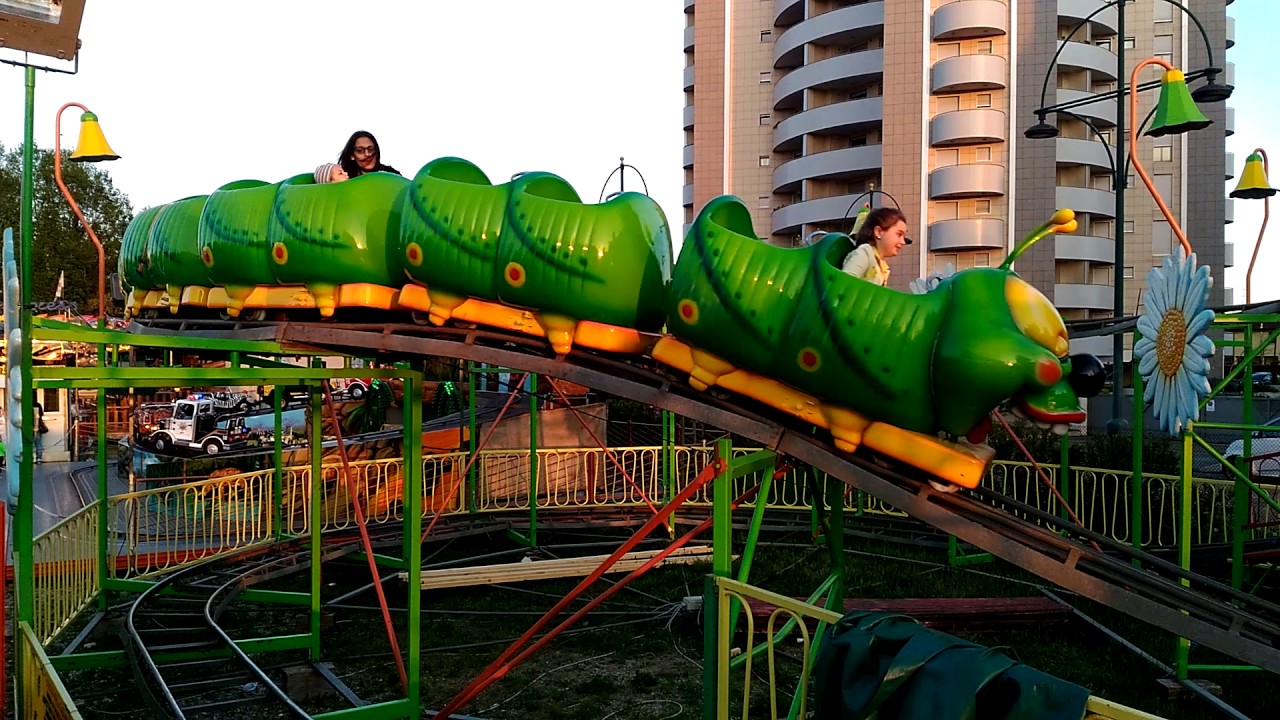 Brucomela (Mestre 2016)