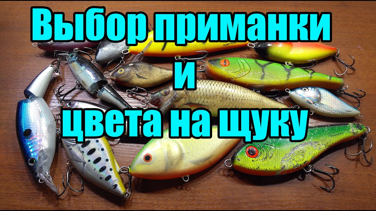 Как правильно выбрать лучшую приманку и цвет на щуку?