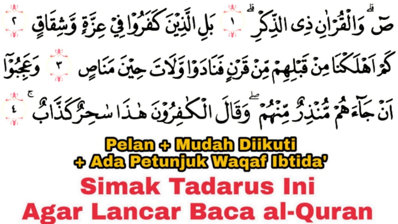 Tadarus Surat Shad Ayat 1-88 (Full) Ada Tanda Warna Panjang & Dengung Agar Lancar Baca al-Quran