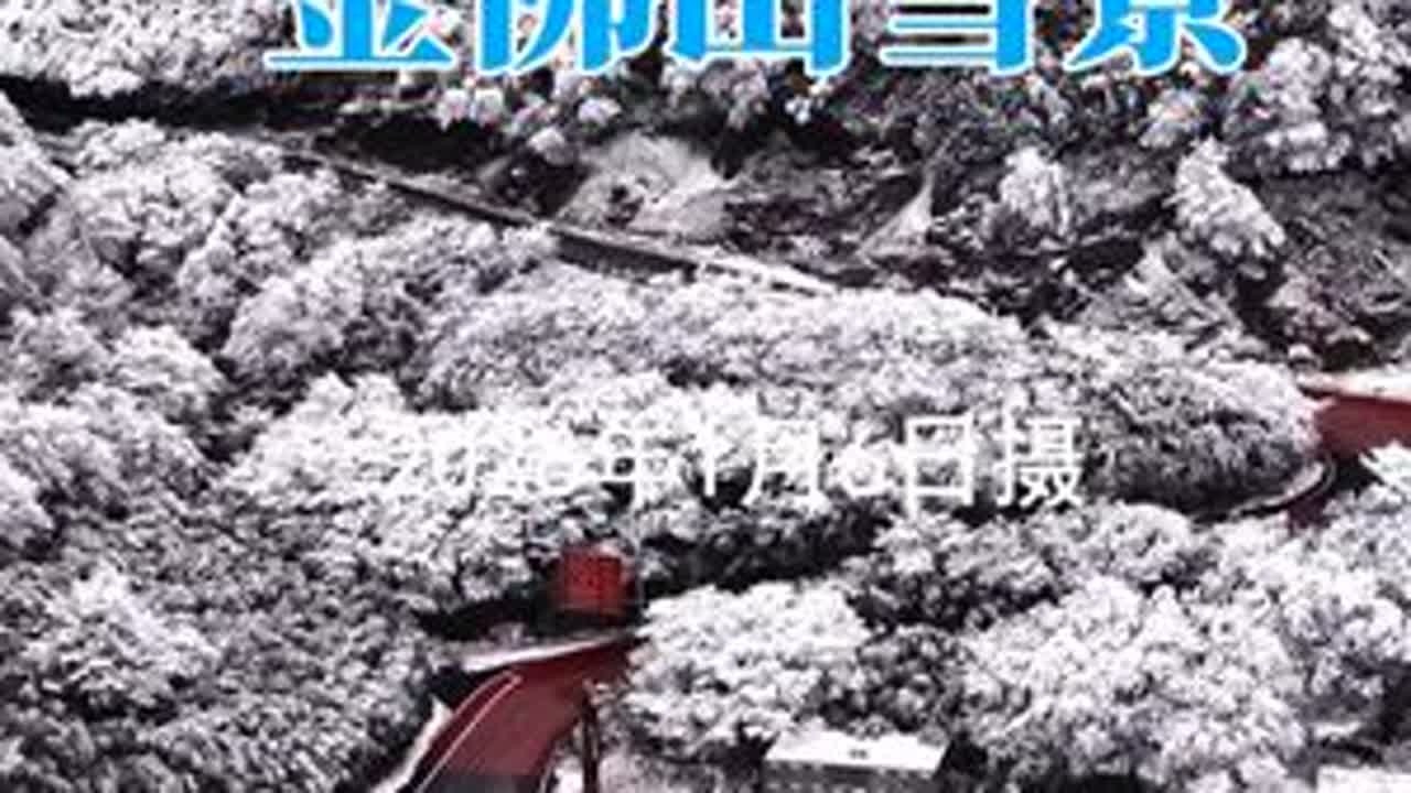 金佛山雪景（1） 雪一下，世界净了，心也静了。#雪山🏔 #冬雪白头
