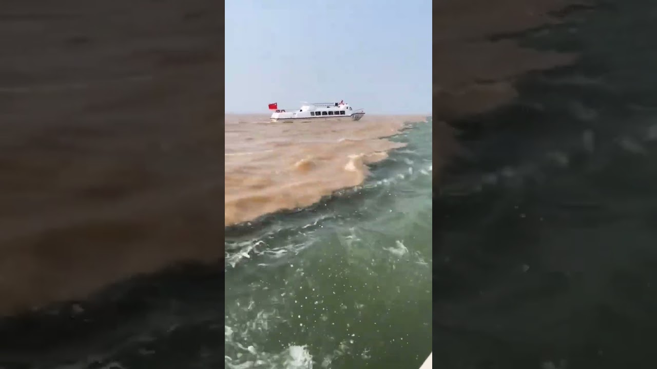 Encontro das &aacute;guas - Rio Negro e Rio Solim&otilde;es 🌊🌊