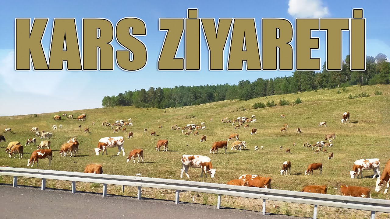 DOĞU ZİYARETLERİME BAŞLADIM !!! | KARS'TA AZİZBEY HAYVANCILIK