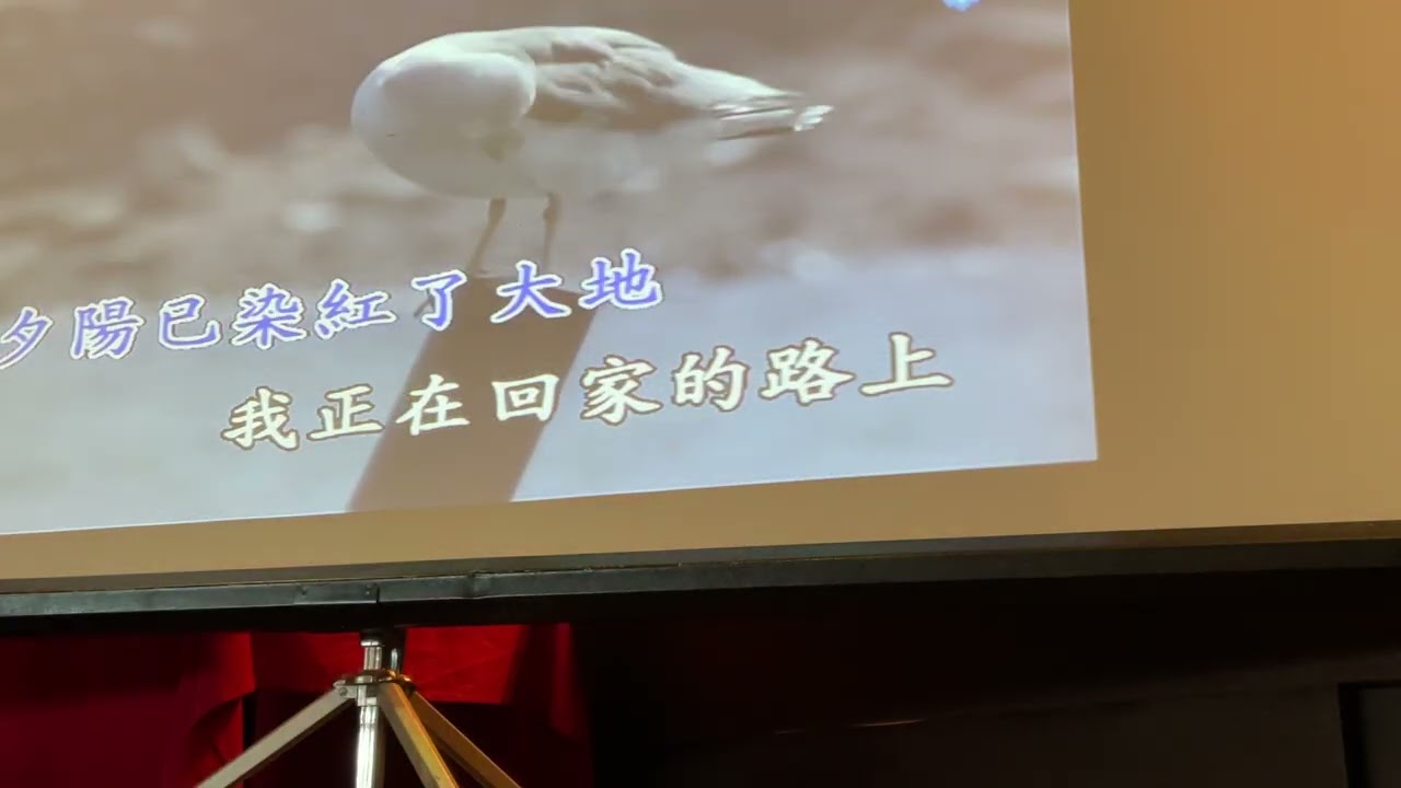 「夕陽伴我歸」 Ada’s 卡拉OK party 3/11/2026