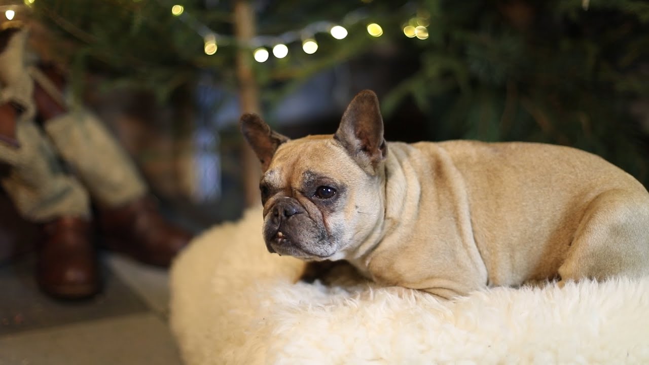 Warming na święta. Warmia.