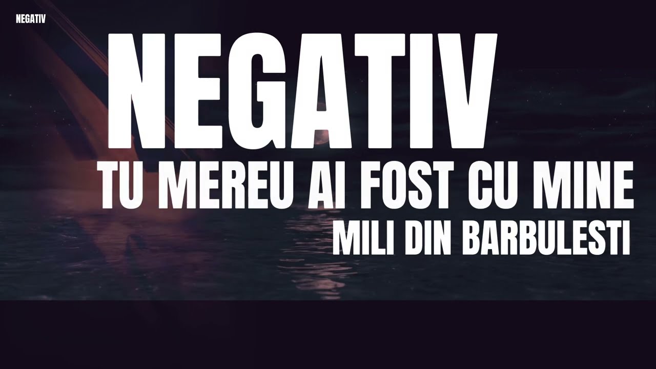 NEGATIV - TU MEREU AI FOST CU MINE - Mili din Barbulesti ( Cover )