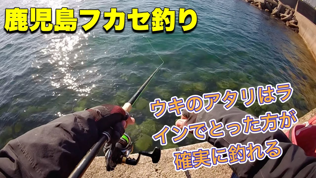 【鹿児島釣り】波止グレ‼️