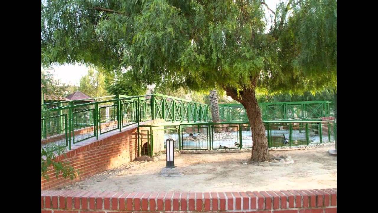 Ceutí, Video Turístico de Murcia