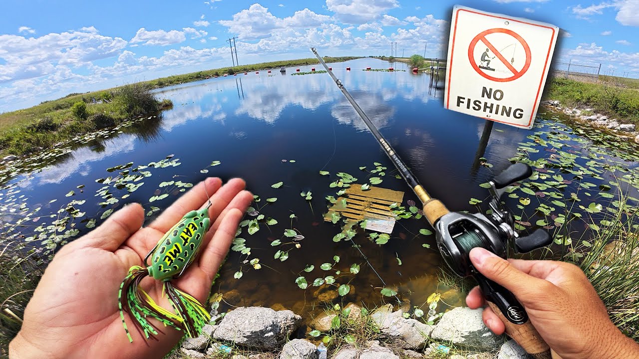 Pescando Lagos Prohibidos! | Pez Cabeza de Serpiente, Tucunare y más…