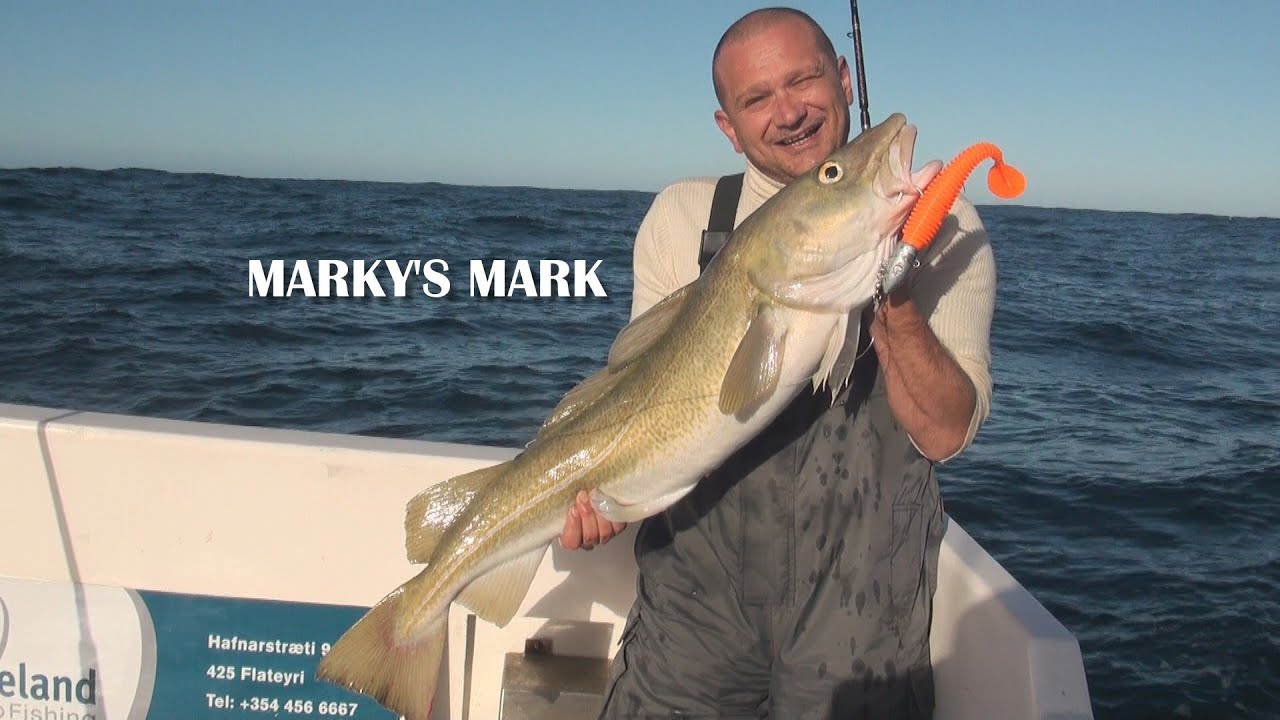 Cod fishing Flateyri Iceland