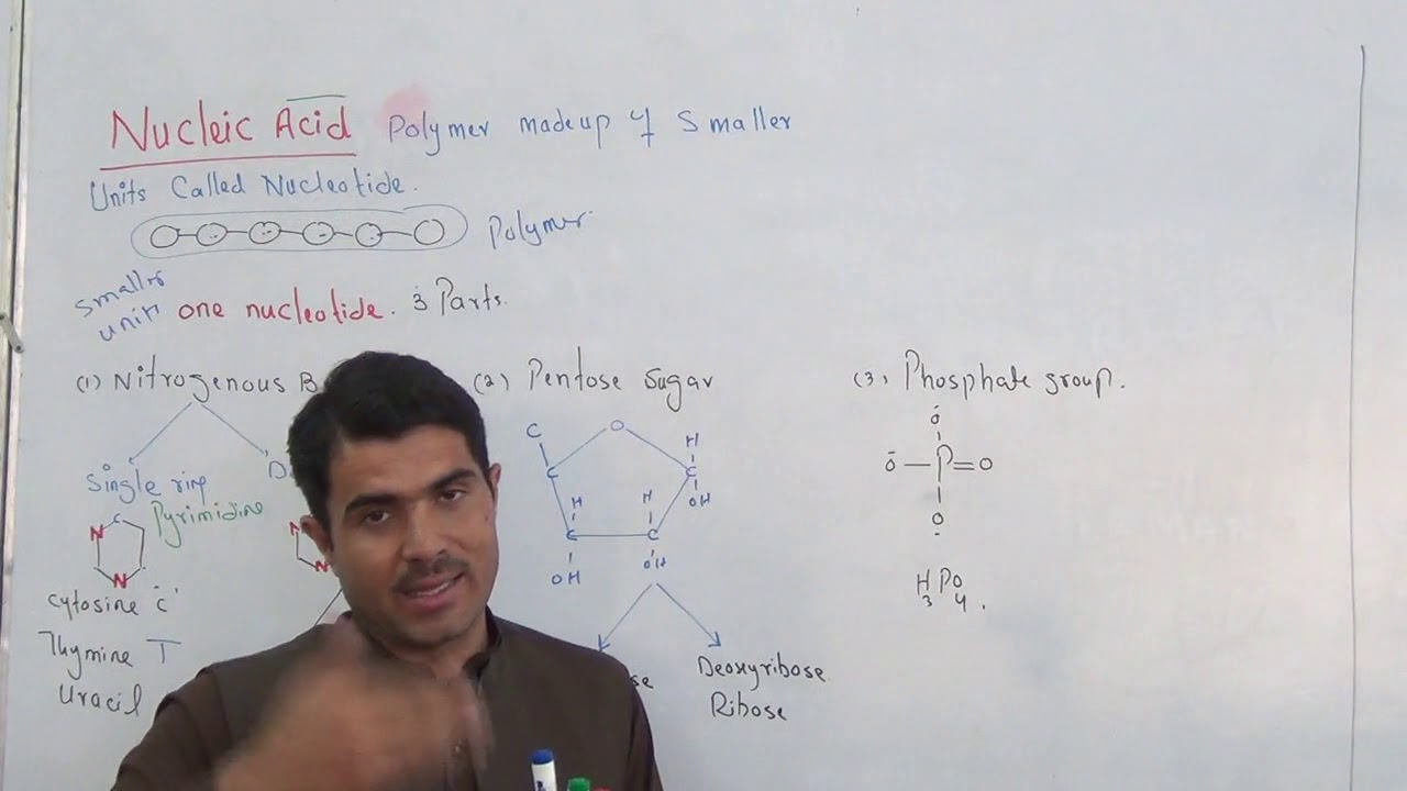 Nucleic Acid full detail along with 14 questions DNA,RNA in english part 1 by Dr Hadi Khan