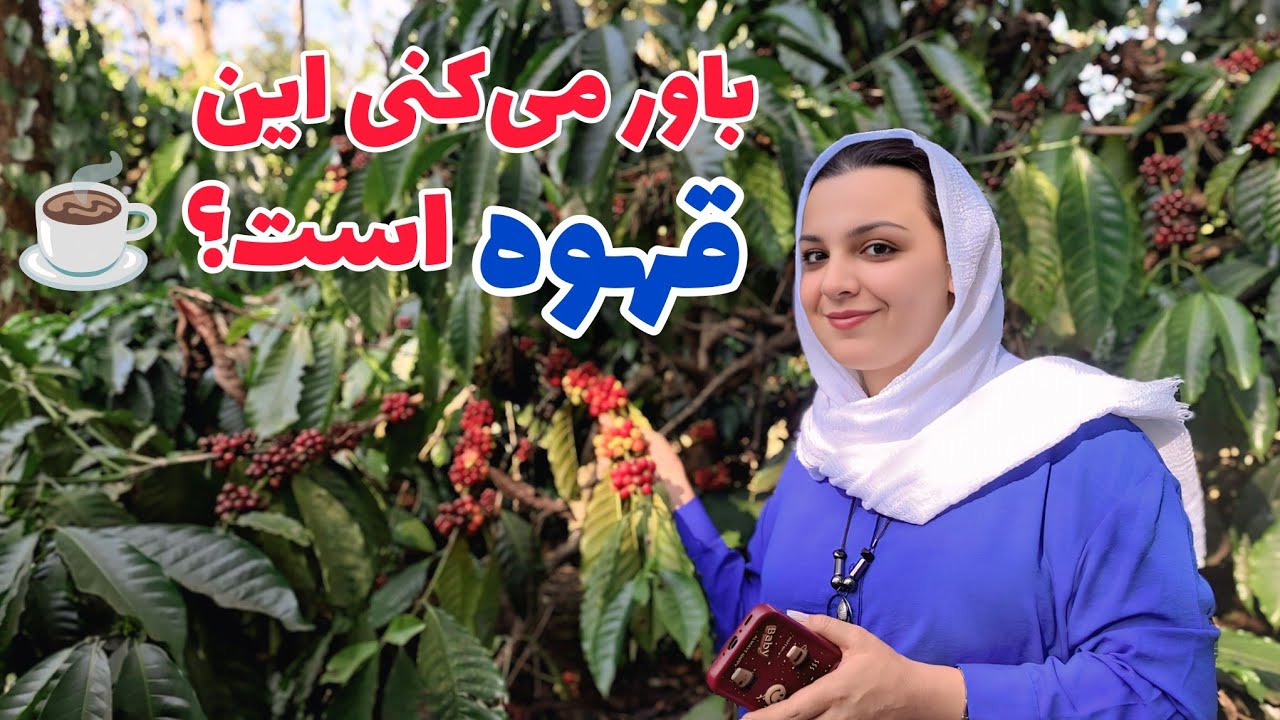 رفتن مریم جان در زیبلاین(zibline)/و بازدید از مزرعه بزرگ قهوه از دوست هندی ما/Coffee farm