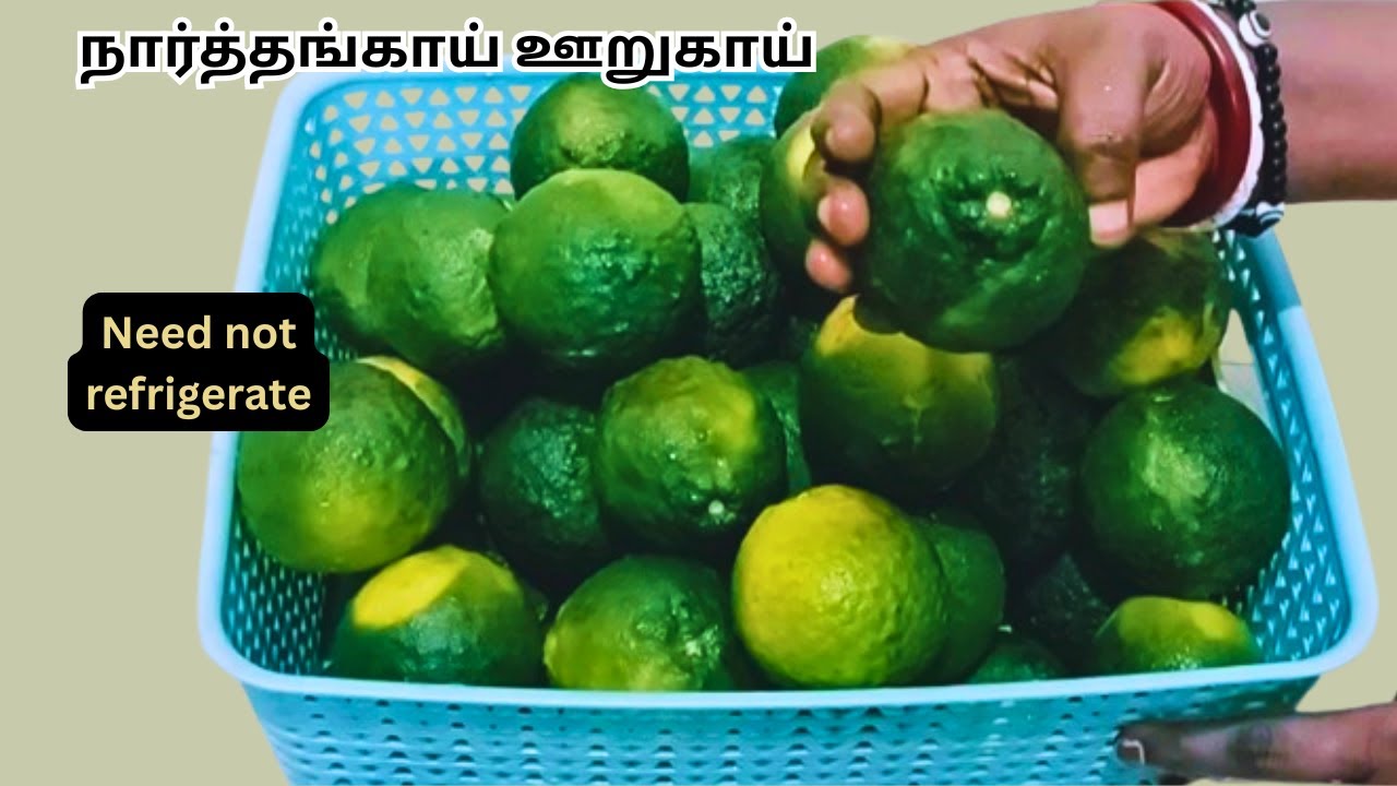 வருடம் முழுக்க வெளியிலேயே வைத்து பயன்படுத்தலாம் / (Narthangai )citron pickle recipe in tamil