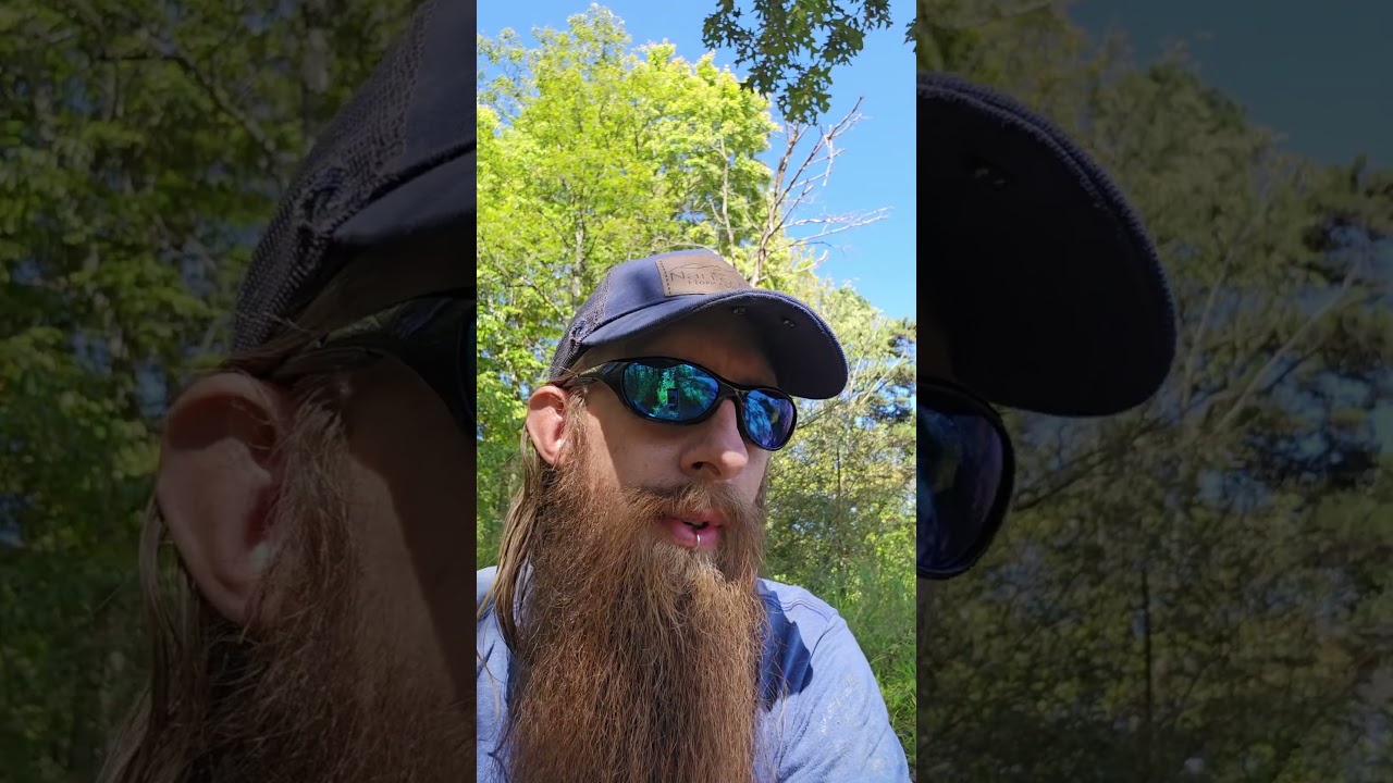 the cult religions of anabaptists #whatthehellhappened #narrowayhomestead #amish #mennonite